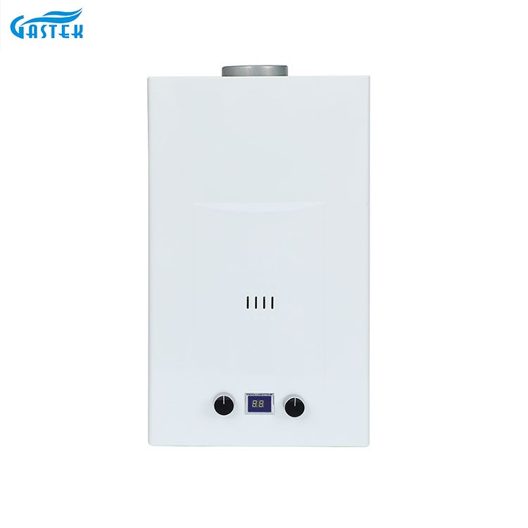 Flue Type 6L 8L 10L 12L 16L 18L 20L TANKLESS LPG GAS GAS GEYSER สำหรับอาบน้ำ