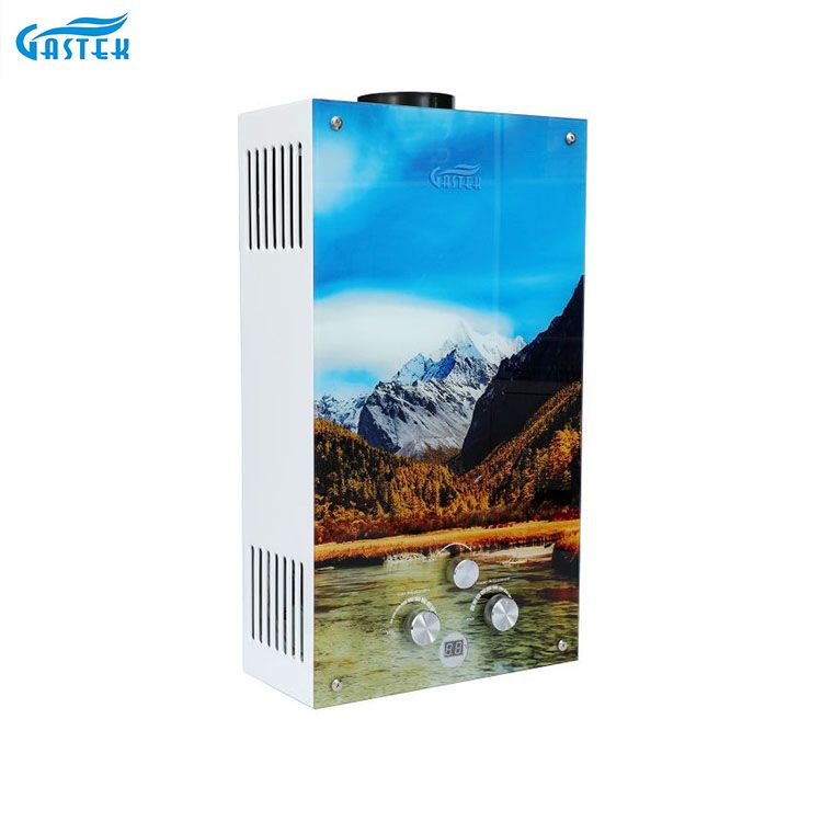 Tankless Flue Type แผงกระจกเครื่องทำน้ำอุ่นแก๊สขายส่ง Gas Gayser สำหรับห้องครัว