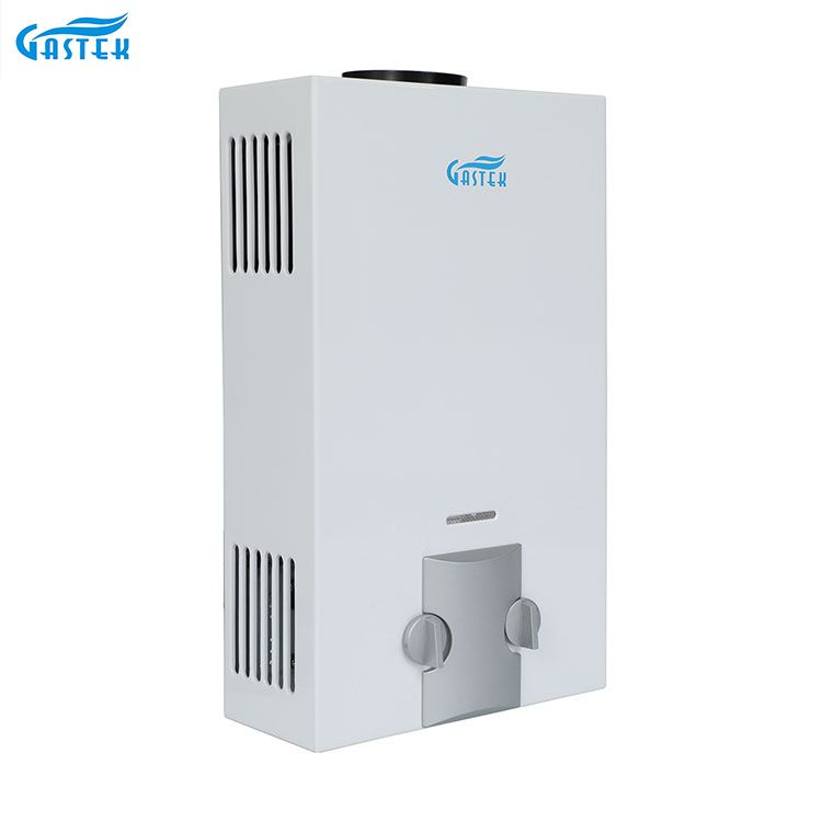 โรงงานเครื่องใช้ภายในบ้าน OEM ODM Flue Type ติดผนัง 6L 10L 12L 16L 20L LPG Tankless ทันที Geyser แก๊สสำหรับอาบน้ำ